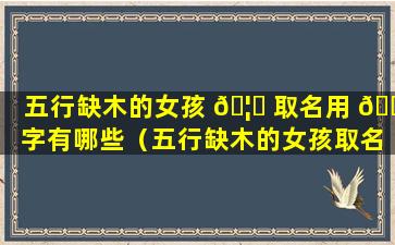 五行缺木的女孩 🦁 取名用 🌹 字有哪些（五行缺木的女孩取名用字有哪些呢）